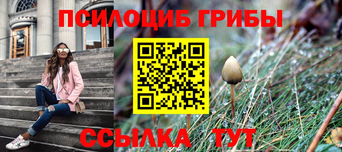 Печора  Псилоцибиновые грибы Psilocybine cubensis  Вход с VPN 